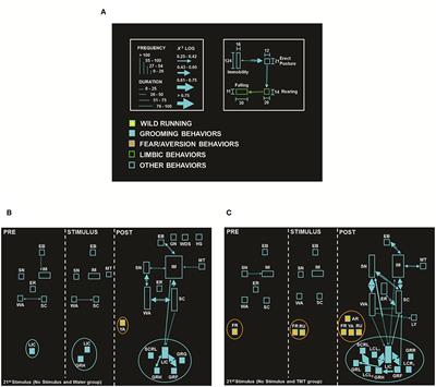 Behavioral and EEGraphic Characterization of the Anticonvulsant Effects of the Predator Odor (TMT) in the Amygdala Rapid Kindling, a Model of Temporal Lobe Epilepsy